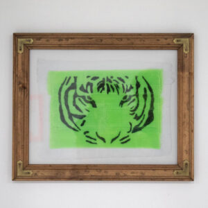Drew Sedlacek - Untitled (tiger)